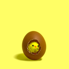 Cute little chicken looks out of egg. Easter concept