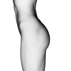 Fototapeta premium 3d rendered illustration of a female bottom