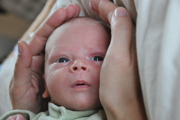 hold a baby's head between both hands