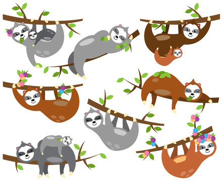 Vector Collection of Cute Sloths in Different Positions and with Babies