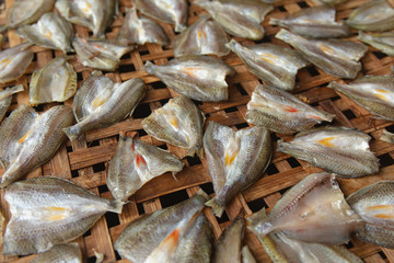 Dried fish on Bamboo sieve with sunny