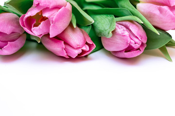 Bouquet of spring flowers, pink tulips on white background - holiday card for 8 march, Valentine day or mother's day with copy space