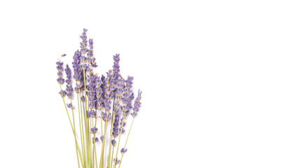 bouquet of violet lilac purple lavender flowers arranged on white table background. Top view, flat lay mock up, copy space. Minimal background concept. Dry flower floral composition isolated on white.