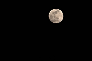 moon in the sky,night, sky, full, space, astronomy, lunar, dark, black,planet, satellite, moonlight, bright, sphere, surface, luna, light,white, craters,