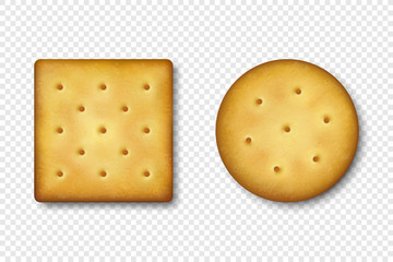 Realistic Vector 3d Round and Square Delicious Salty Cookies Rustic, Cracker, Biscuit Icon Set Closeup Isolated on White Background. Design Template of Sweet Cookie, Yummy Crackers, Breakfast Snack