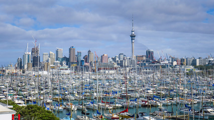 Views of Auckland city, New-Zealand