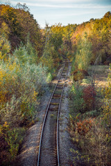 Fototapeta na wymiar Railway and golden autumn trees