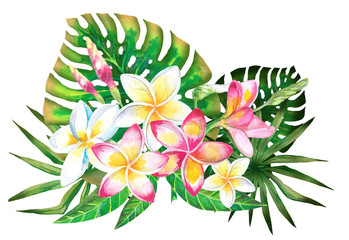 Watercolor summer tropical design for banner or flyer with exotic palm leaves, Plumeria flowers - obrazy, fototapety, plakaty