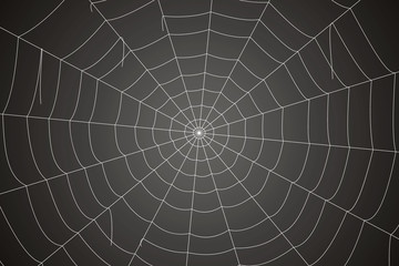 Creepy spider web on a gray background