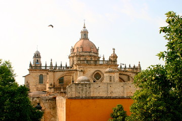 Jerez. City of Andalusia. Spain