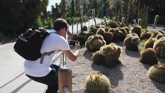 Man is photographing round cactus plants in garden in summer