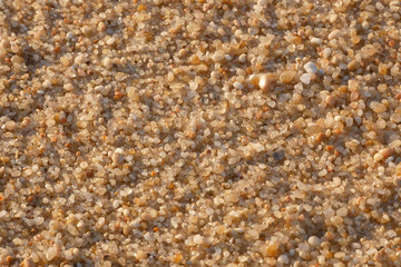 Close up Macro of grains of sand on a beach