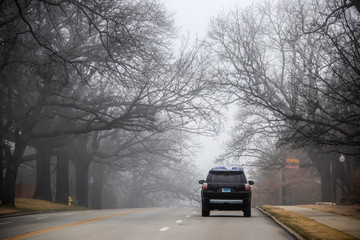 SUV driving over a hill on city street under spooky bare overhanging branches during a heavy fog -...