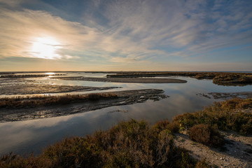 Encanyissada al matí  al Delta del Ebre