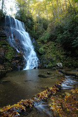 Fototapeta premium wodospad w lesie