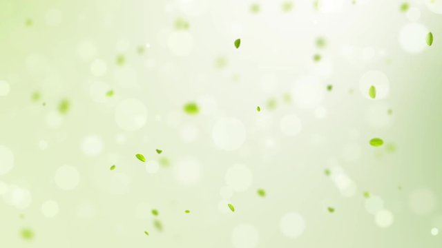 spring background, 4K slow motion spring background with green leaves and bokeh