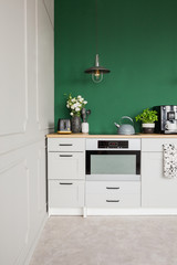 Green wall with copy space in bright kitchen interior