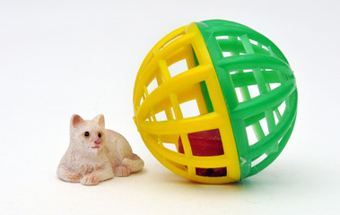 Cat and Bill