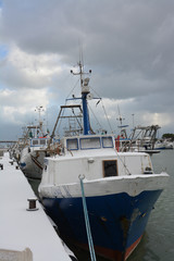 fishing boats in the port