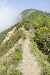 蛭ヶ岳 丹沢主脈の登山道