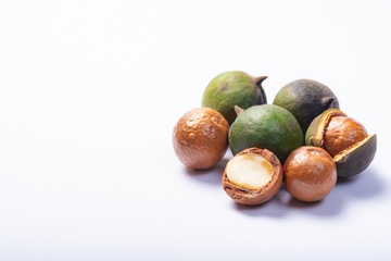 Fresh harvest of macadamia nuts, green macadamia nuts in shell and cracked nuts close up isolated
