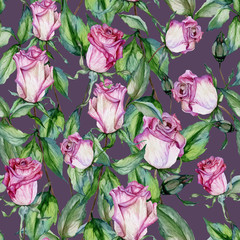 Beautiful pink roses and green leaves on purple background. Seamless floral pattern. Watercolor painting. Hand drawn and painted illustration.