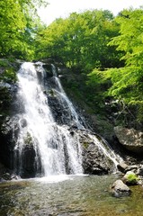 早戸川上流 原小屋沢の雷滝
