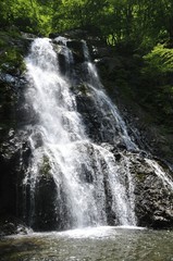 Fototapeta premium 早戸川上流 原小屋沢の雷滝