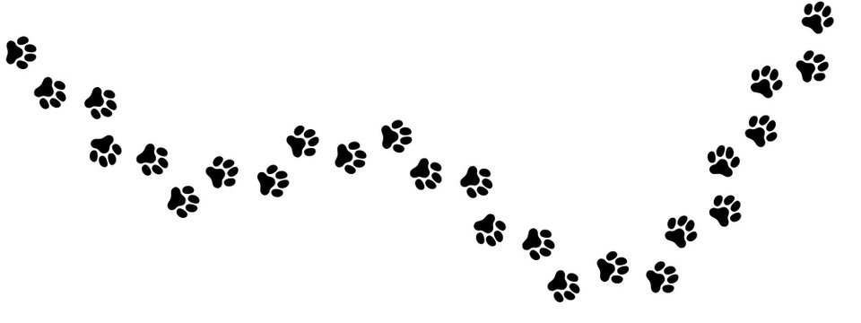 犬の足跡 (Paw Prints of Dog. Vector Illustration)