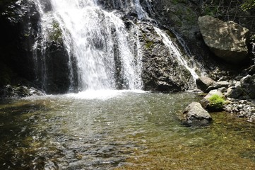 早戸川上流 原小屋沢の雷滝