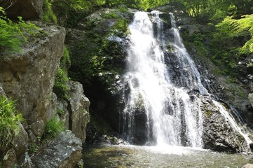 Fototapeta premium 早戸川上流 原小屋沢の雷滝