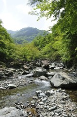 丹沢山地の奥地 早戸川上流