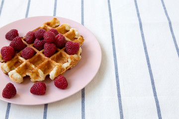 Traditional belgian waffle with raspberries on pink plate, side view. Copy space.