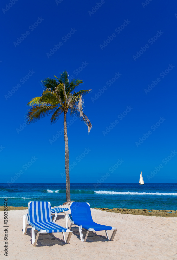 Sticker Two Chaise Lounges and Palm Tree on a peaceful, empty beach