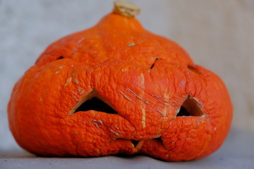 Halloween is over, old sad pumpkin