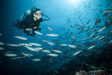 Young woman scuba diver exploring coral reef