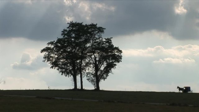 Amish horse and buggy next to farm in Lancaster, Pennsylvania