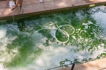 man pouring acid into green pool