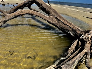 Beach In Georgia