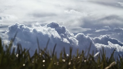 Grass and clouds.