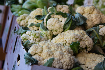 Chinatown vendors, NYC