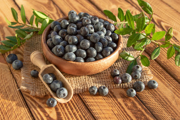Fresh Blueberries In Wooden Bowl On Old Wooden Planks Background. Outdoor Image Shot In The Sunshine