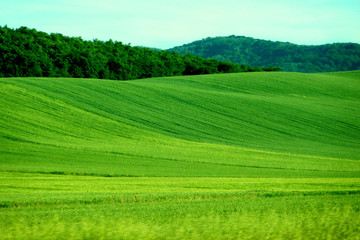 Navarra. Rural fields. Spain