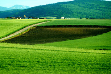 Fototapeta na wymiar Navarra. Rural fields. Spain