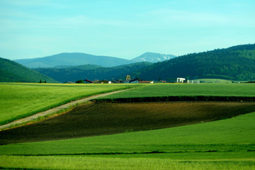Fototapeta na wymiar Navarra. Rural fields. Spain