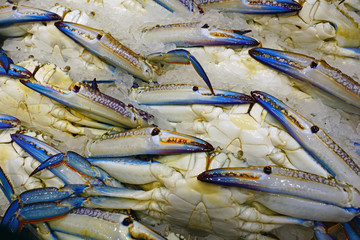 Blue swimmer crab (Portunus armatus) for sale at a seafood market in Sydney, Australia