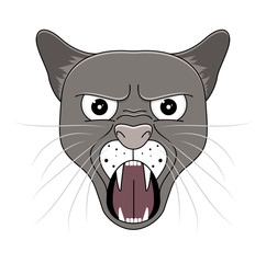 Head of puma in cartoon style. Kawaii animal.