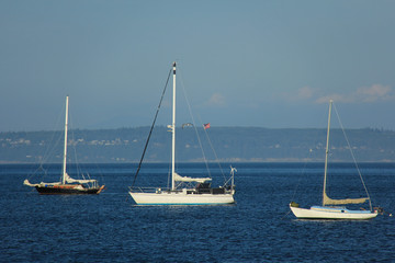 Fototapeta premium white yacht Ocean