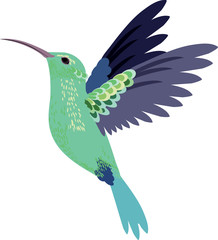 hummingbird in flight against white background, vector © Андрей Смирнов