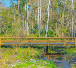 Stream flowing under walkway in Nocatee, St Johns County, Florida